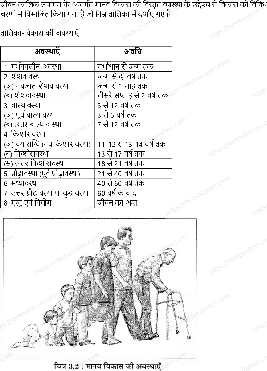 RBSE Class 11th गृह विज्ञान मानव वृद्धि एवं विकास की अवधारणा Solutions 12