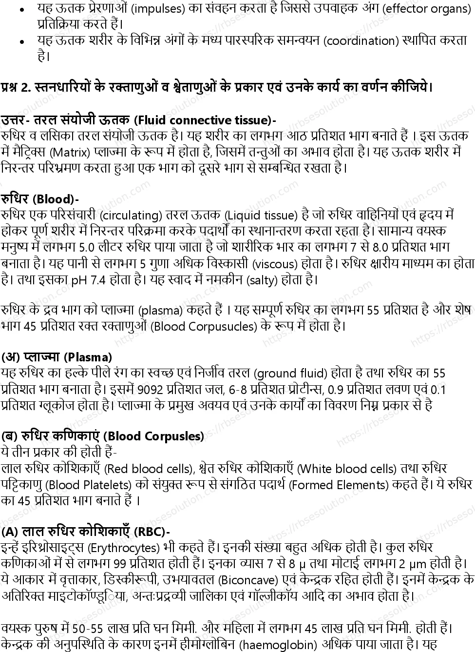 RBSE Class 11th जीव विज्ञान जन्तु ऊतक Solutions 13