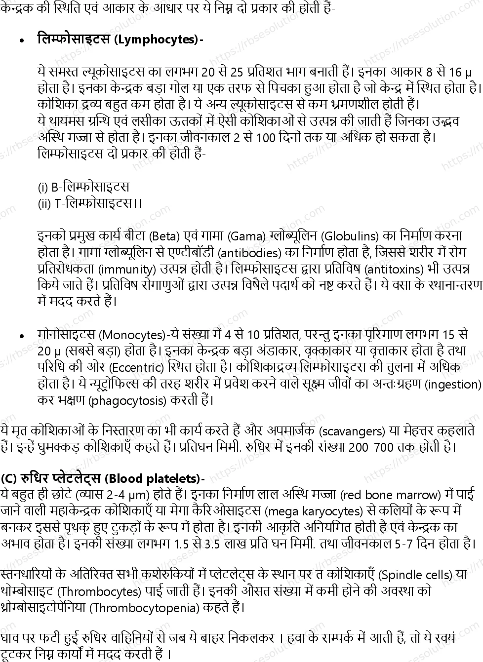 RBSE Class 11th जीव विज्ञान जन्तु ऊतक Solutions 17
