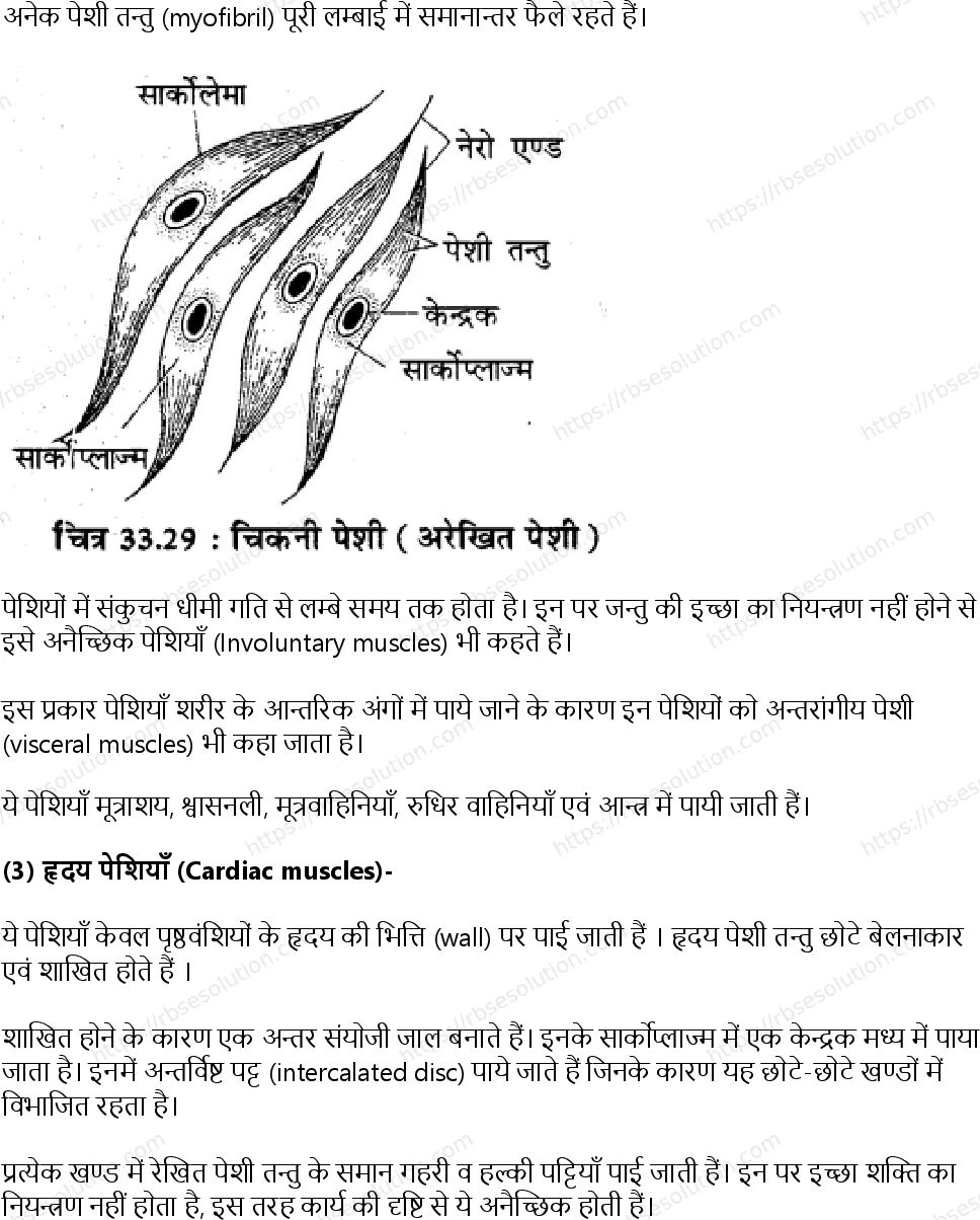 RBSE Class 11th जीव विज्ञान जन्तु ऊतक Solutions 23