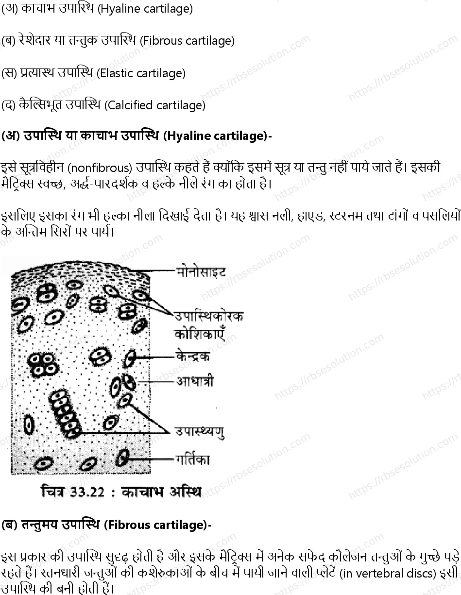 RBSE Class 11th जीव विज्ञान जन्तु ऊतक Solutions 25