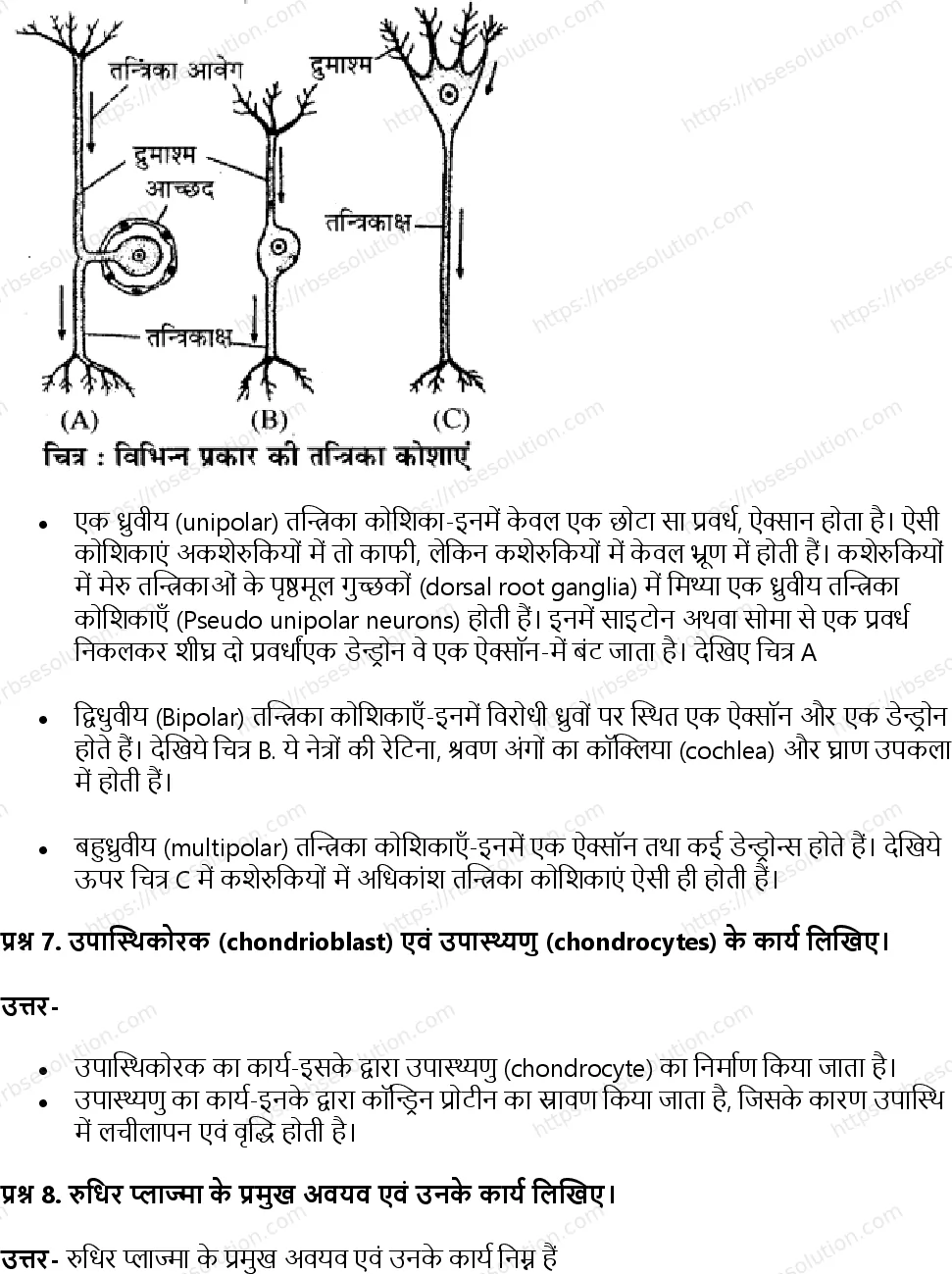 RBSE Class 11th जीव विज्ञान जन्तु ऊतक Solutions 6