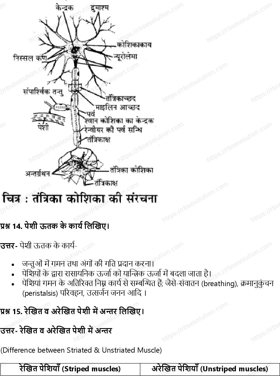 RBSE Class 11th जीव विज्ञान जन्तु ऊतक Solutions 9