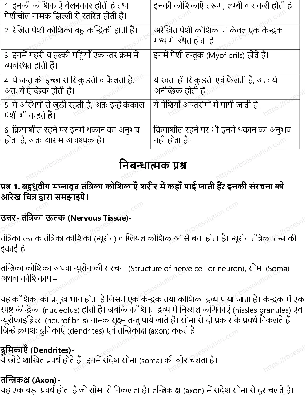 RBSE Class 11th जीव विज्ञान जन्तु ऊतक Solutions 10
